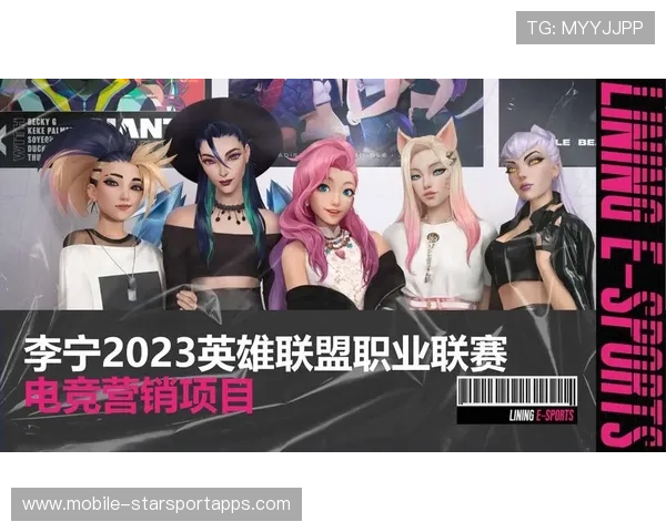 职业联赛的推广创意策划方案分析