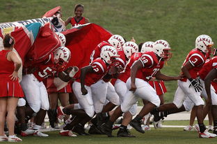 星空体育在线登陆-红雀四分卫回归，进攻端焕发新活力，红雀怎么样