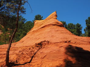 星空娱乐最新网址-一日英超动态阿莫林自信发声转会话题升温，阿莫子林