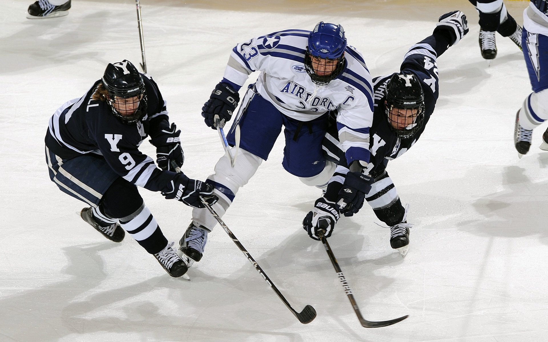 公牛队新秀状态火热，备战新赛季，公牛队现役首发阵容